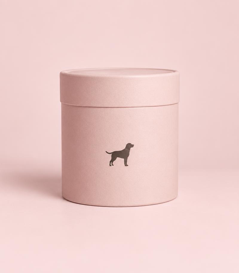 Concept image for Functional treats